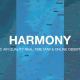 During NASA's International Space Apps hackathon, the team of Breeze Technologies developed HARMONY: a Holistic Air Quality Real-Time Map & Online Observatory.