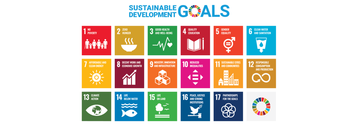 UN Sustainable Development Goals Poster