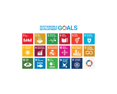 UN Sustainable Development Goals Poster