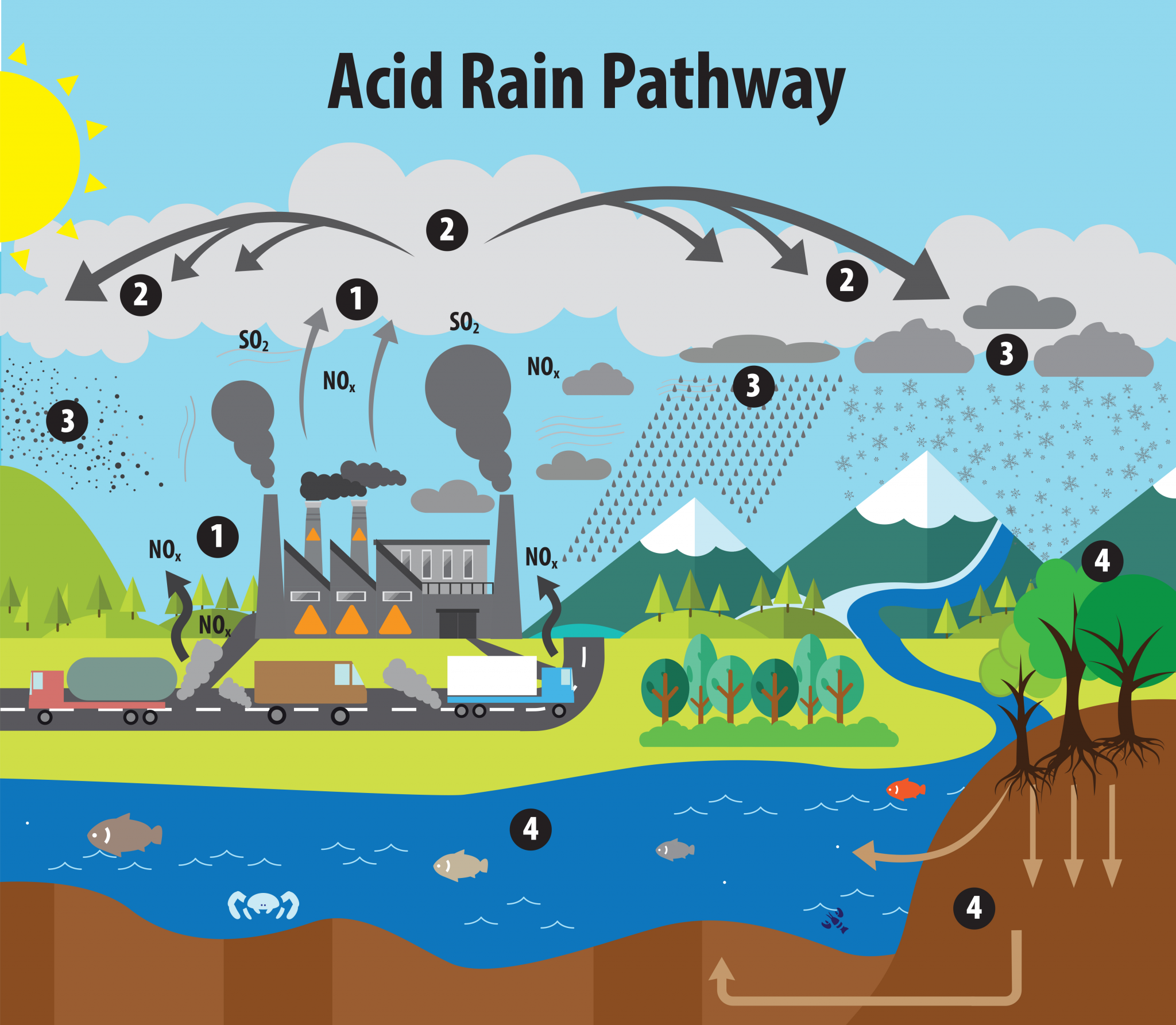 case study on acid rain