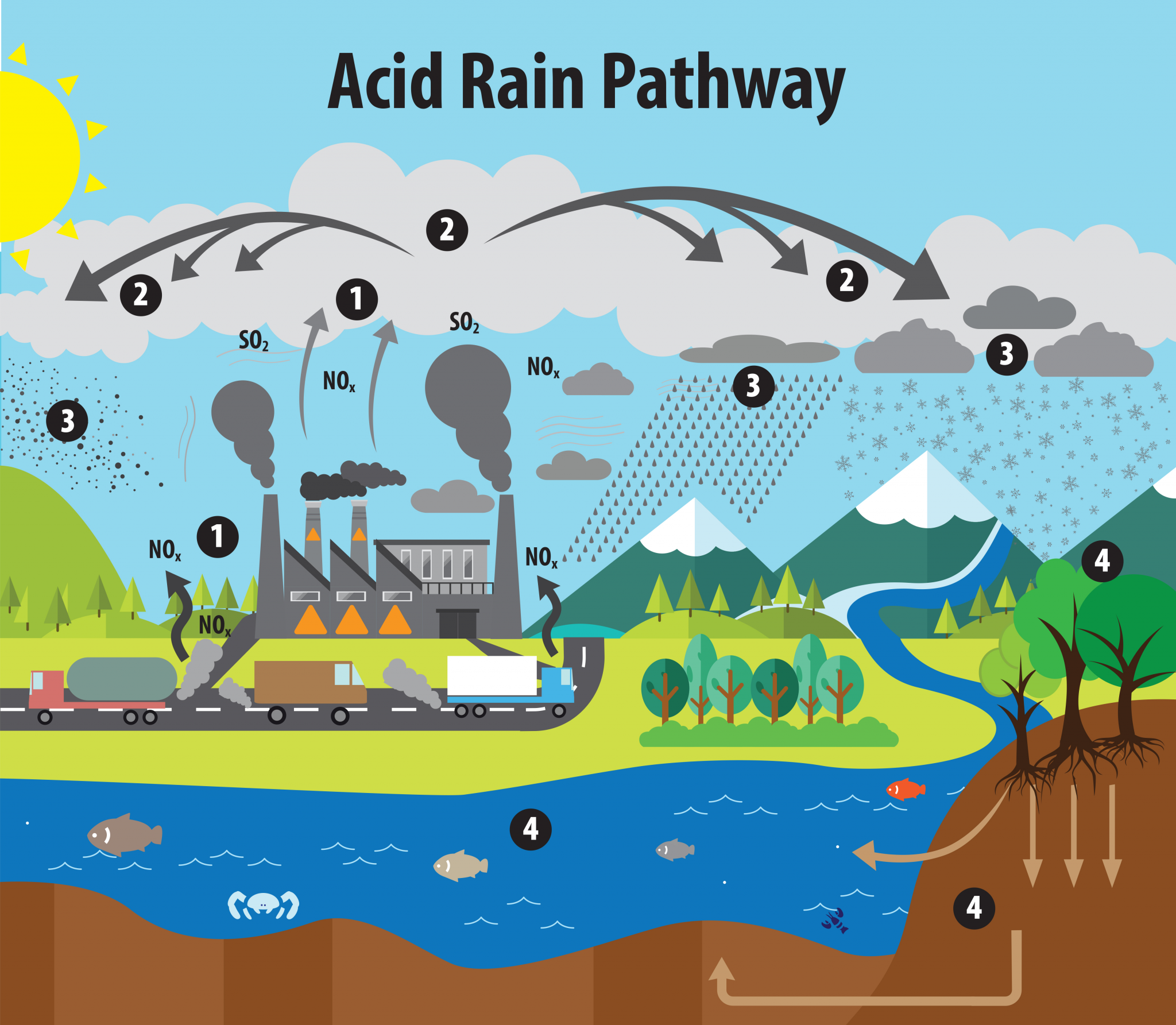 acid rain effects essay