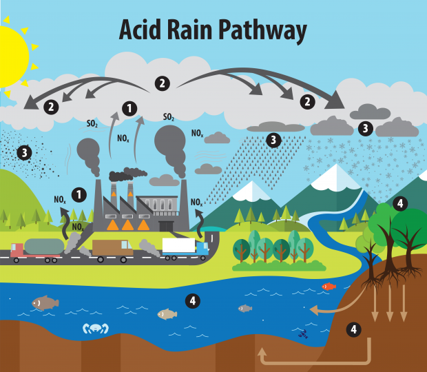 How air pollution causes acid rain - Breeze Technologies