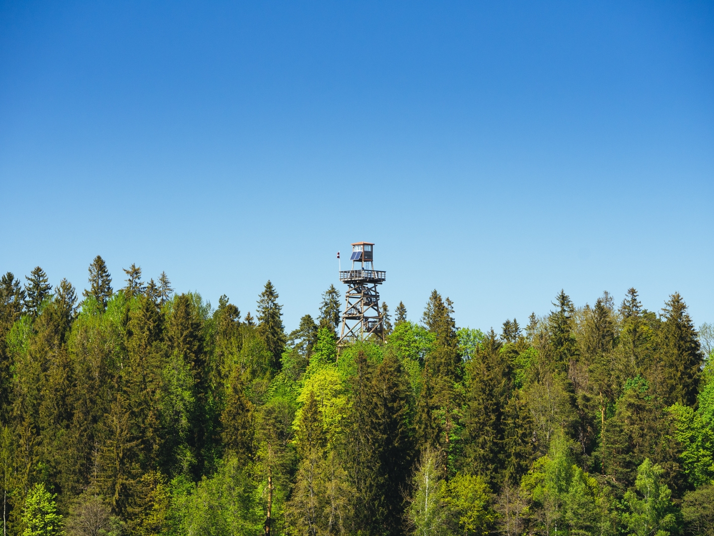 Fire lookout tower