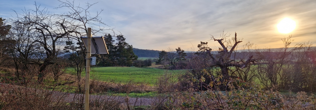 Einer von Breeze Technologies' Luftqualitäts- und Waldbrandsensoren im Harz